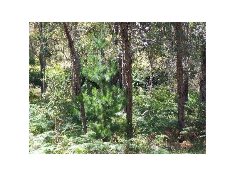 154 & 156 South West Highway, Donnybrook WA 6239