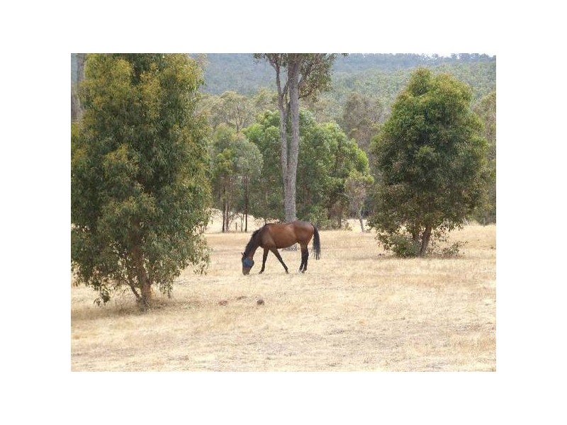 10 Marshall Road, Argyle WA 6239