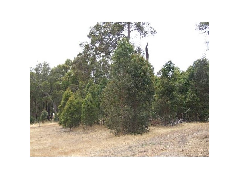 10 Marshall Road, Argyle WA 6239