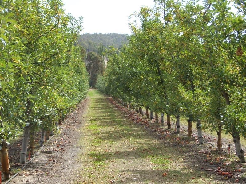 1565 Boyup Brook Road, Donnybrook WA 6239