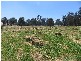 10 Wade Road, Donnybrook WA 6239