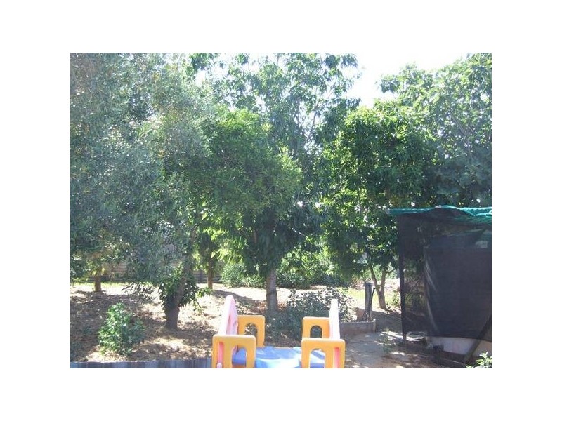 49 Union Street, Donnybrook WA 6239