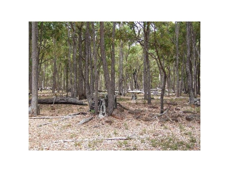 258 Hetherington Rd, Argyle WA 6239