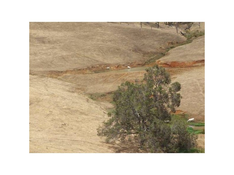 276 Wildmere, Brookhampton WA 6239