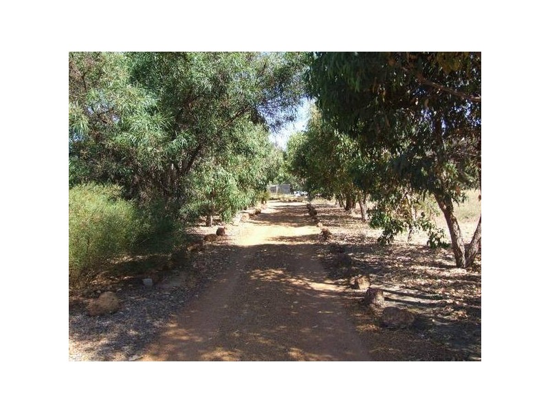 42 Jones, Donnybrook WA 6239