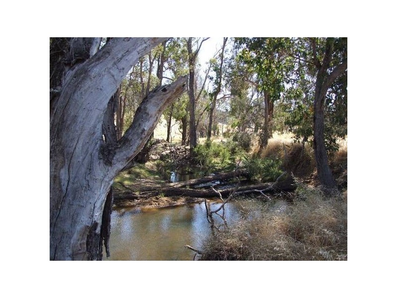 42 Jones, Donnybrook WA 6239