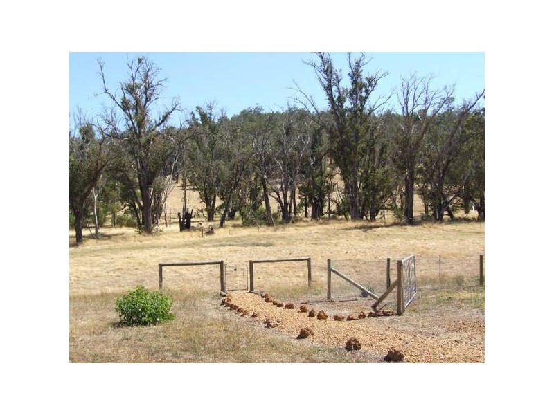 43 Charles, Donnybrook WA 6239