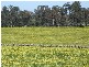 1 McAlinden Road, Mcalinden WA 6225