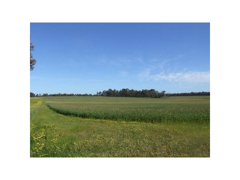 1 McAlinden Road, Mcalinden WA 6225