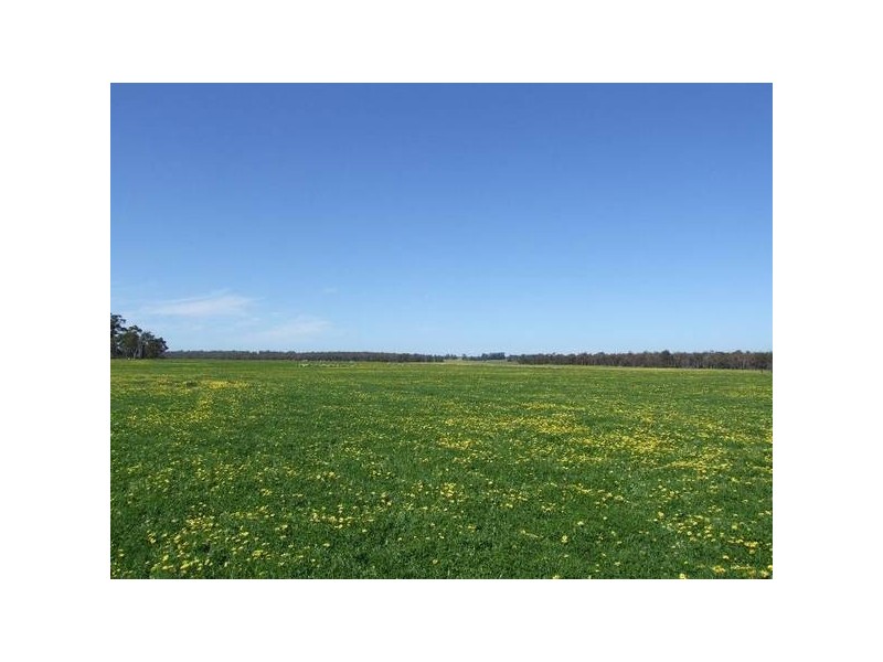 1 McAlinden Road, Mcalinden WA 6225