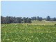 1 McAlinden Road, Mcalinden WA 6225