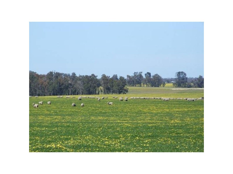 1 McAlinden Road, Mcalinden WA 6225