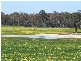 1 McAlinden Road, Mcalinden WA 6225