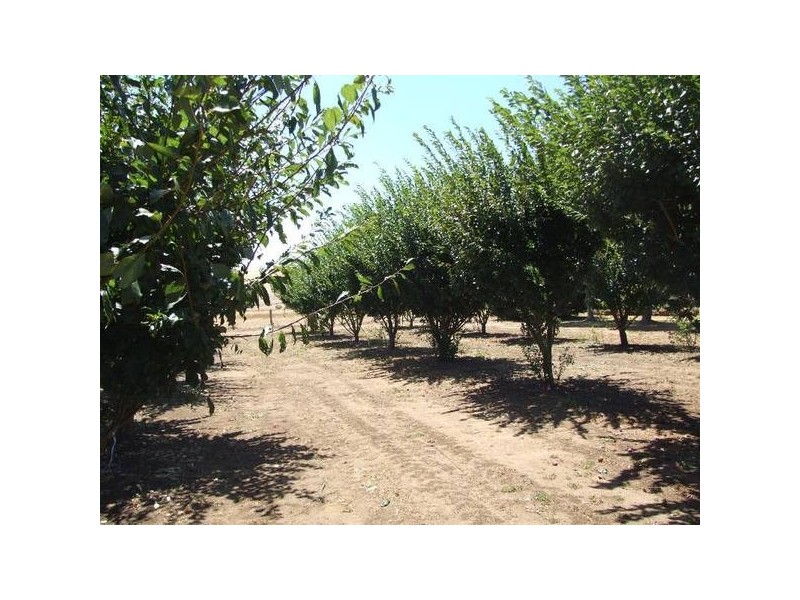 478 Sandhills Road, Donnybrook WA 6239