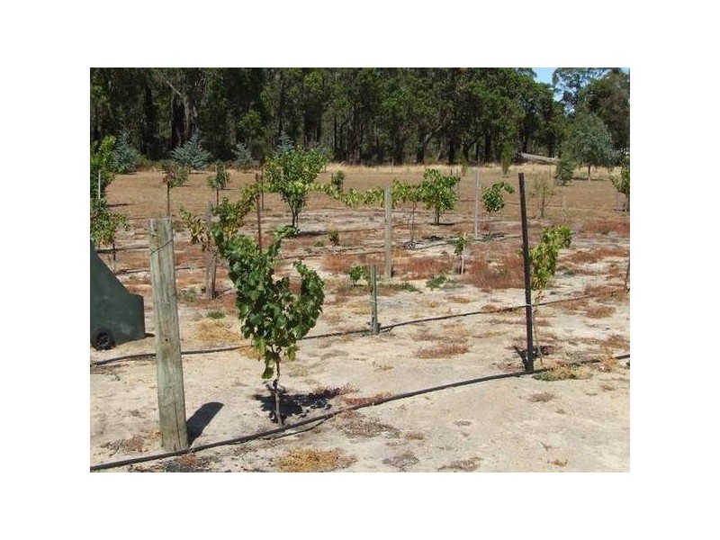 59 Jones St, Donnybrook WA 6239