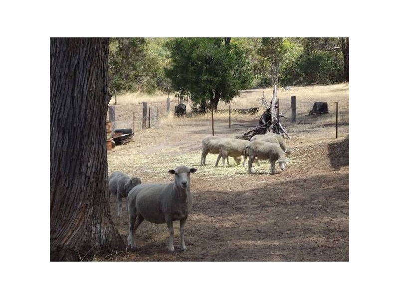 6 Barron Court, Boyup Brook WA 6244