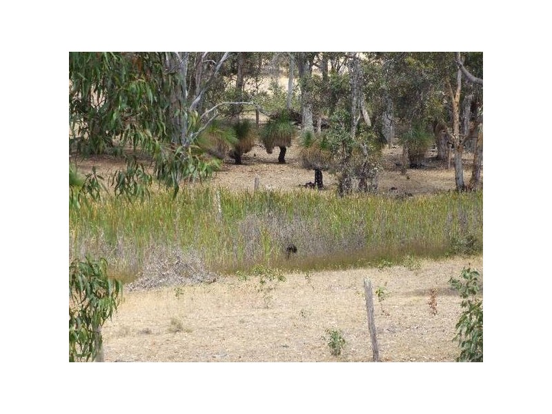 6 Barron Court, Boyup Brook WA 6244