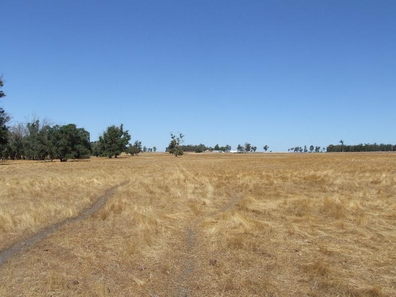Lot 2487,  McAlinden Road, Mcalinden WA 6225