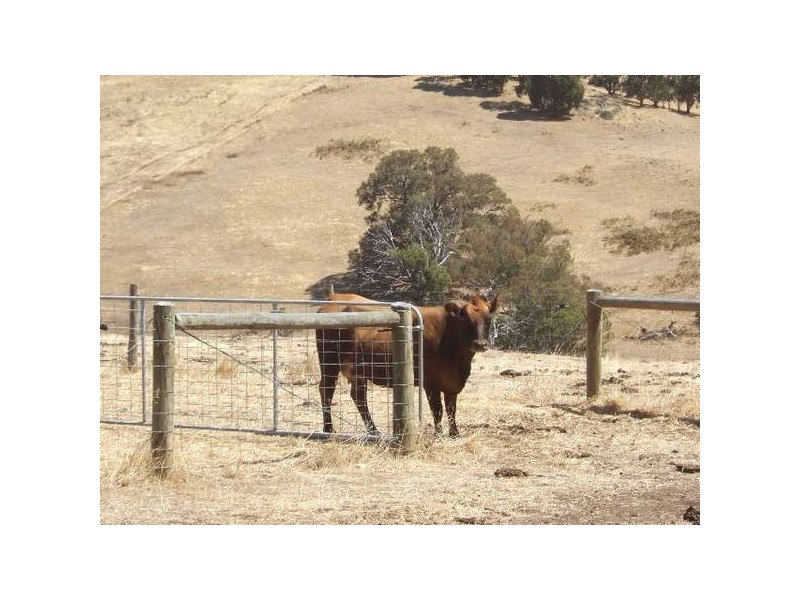 10 Katrina Heights, Yabberup WA 6239