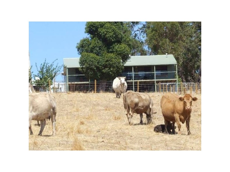 10 Katrina Heights, Yabberup WA 6239