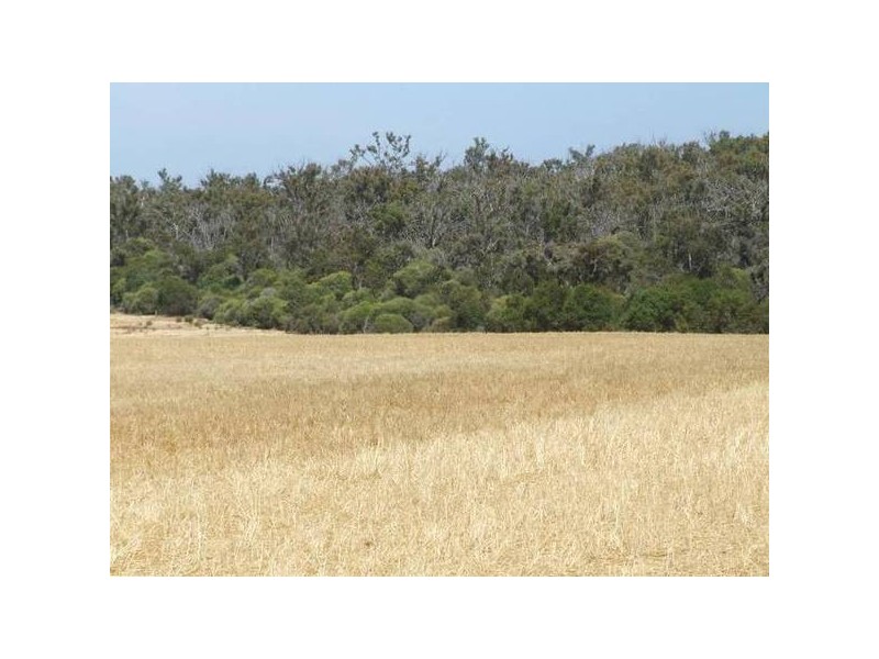 3741 McAlinden Road, Mcalinden WA 6225