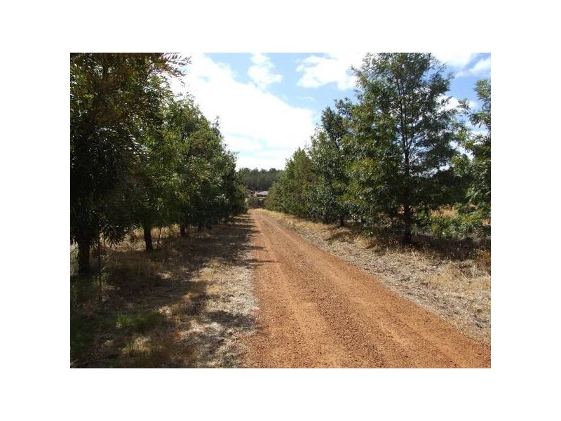 146 Gemmell Road, Argyle WA 6239