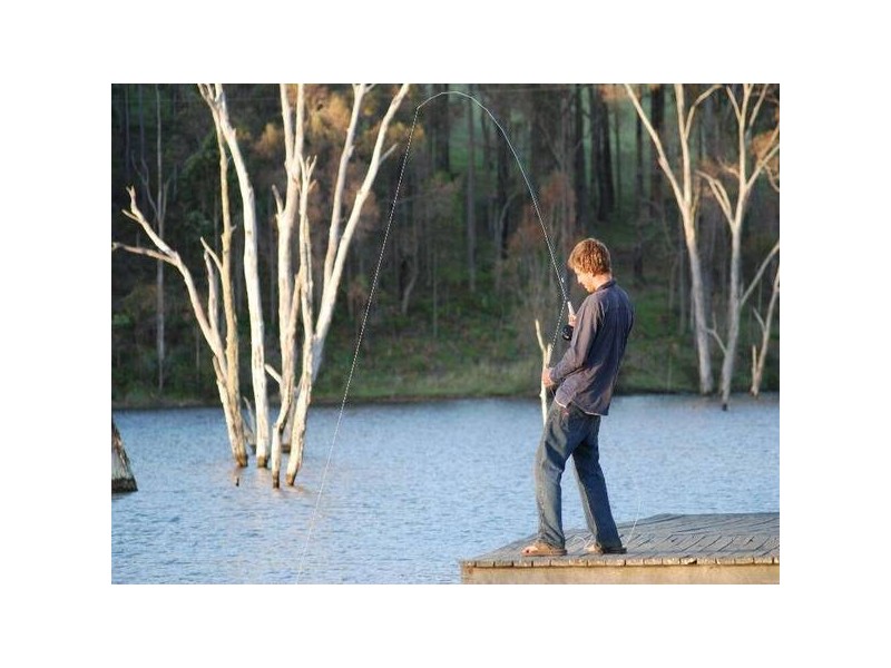 75 Old Goldfields Road, Donnybrook WA 6239