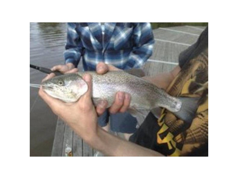 75 Old Goldfields Road, Donnybrook WA 6239