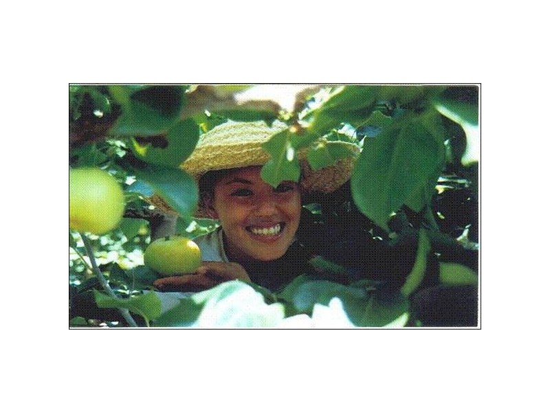 75 Old Goldfields Road, Donnybrook WA 6239