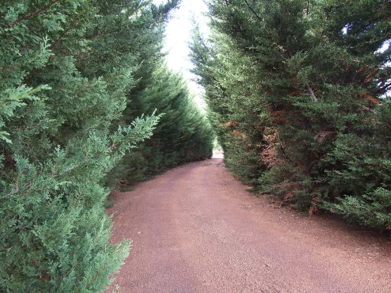 75 Bendall Road, Argyle WA 6239