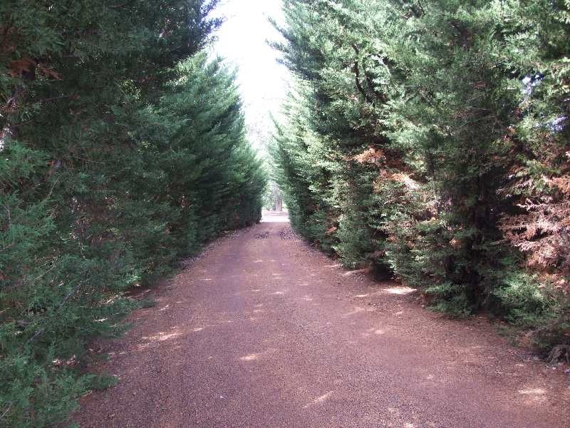 75 Bendall Road, Argyle WA 6239