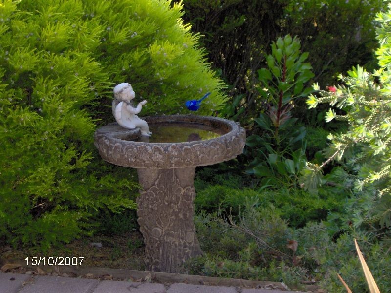 75 Bendall Road, Argyle WA 6239