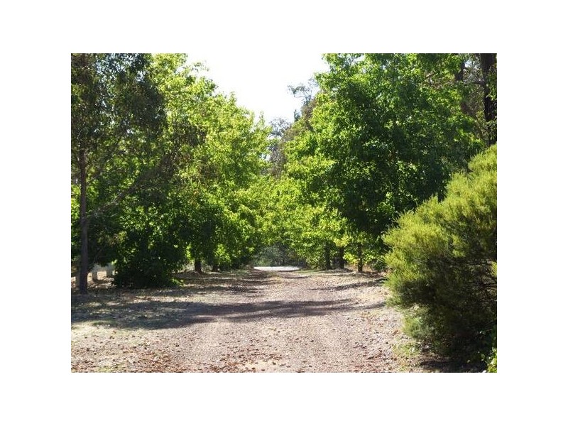 Brookhampton WA 6239