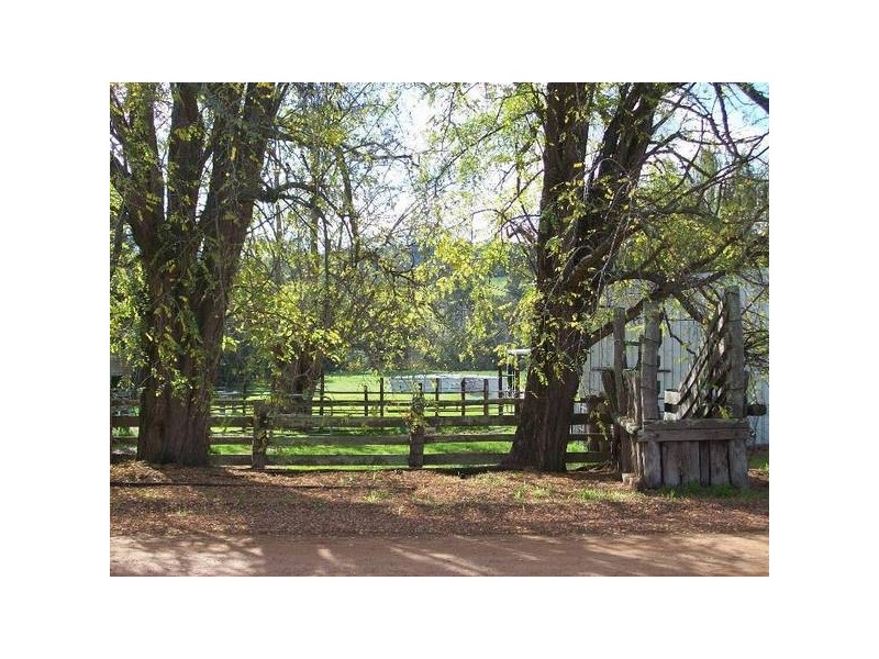 35 Fowler Street, Donnybrook WA 6239