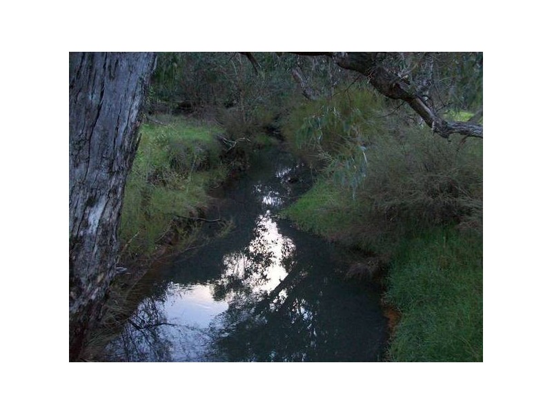 35 Fowler Street, Donnybrook WA 6239