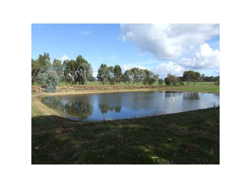 1 Donnybrook Boyup Brook Road, Wilga WA 6243