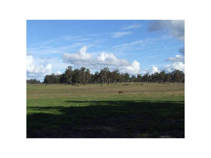 1 Donnybrook Boyup Brook Road, Wilga WA 6243