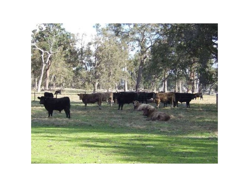 1 Donnybrook Boyup Brook Road, Wilga WA 6243