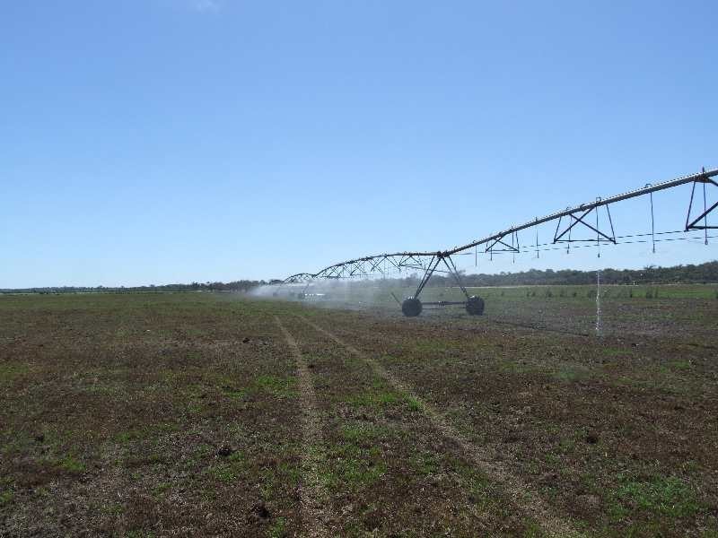 Brookdale Road, Boyanup WA 6237