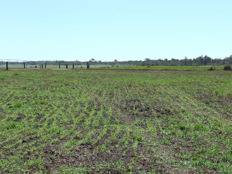 Brookdale Road, Boyanup WA 6237