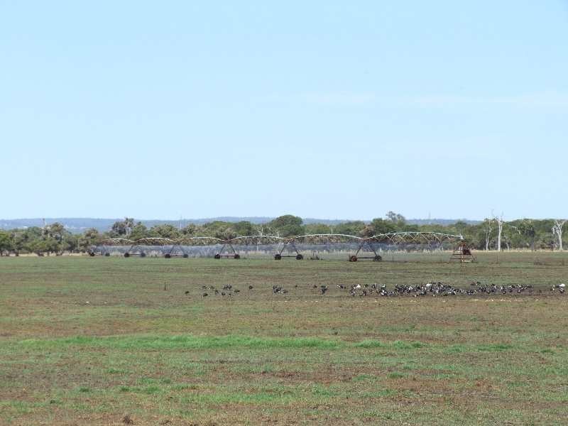 Brookdale Road, Boyanup WA 6237