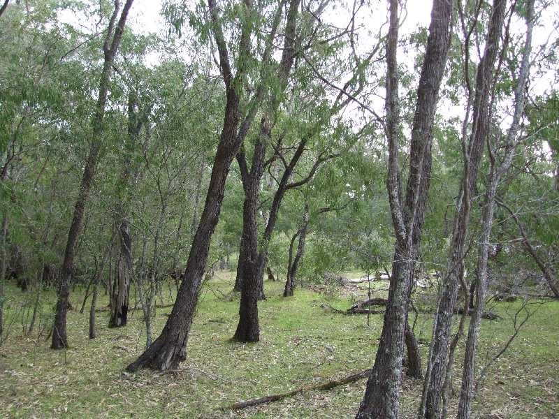 Lot 93, Chislehurst Ave, Capel WA 6271