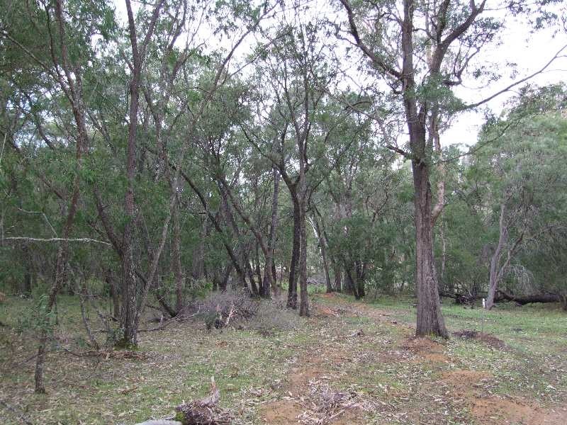 Lot 93, Chislehurst Ave, Capel WA 6271