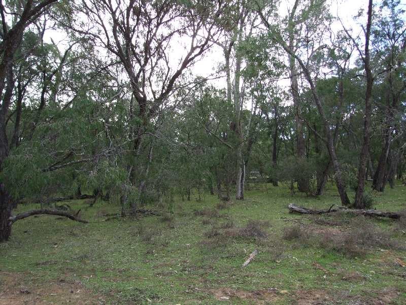 Lot 93, Chislehurst Ave, Capel WA 6271