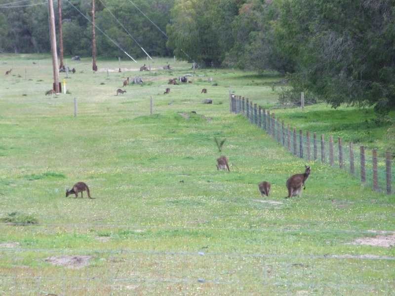 Lot 93, Chislehurst Ave, Capel WA 6271