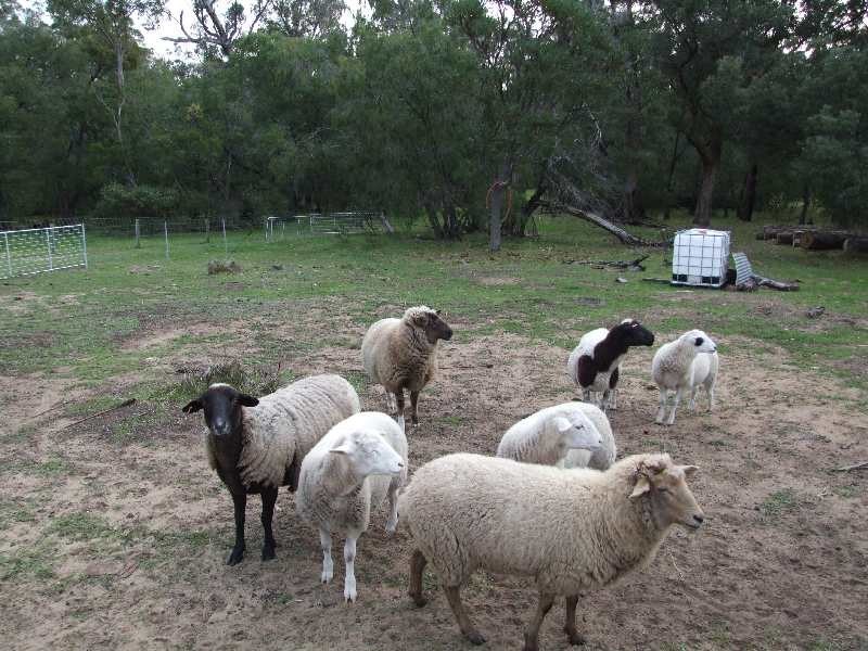 Lot 93, Chislehurst Ave, Capel WA 6271