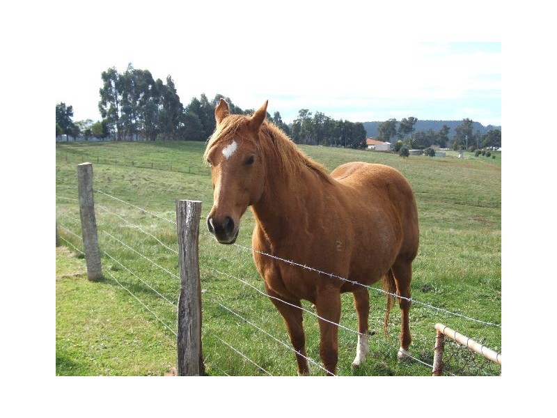 Lot 17,  Harris River Road, Collie WA 6225