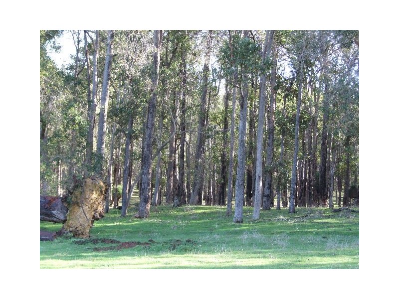 Lot 56,  King Spring Road, Donnybrook WA 6239