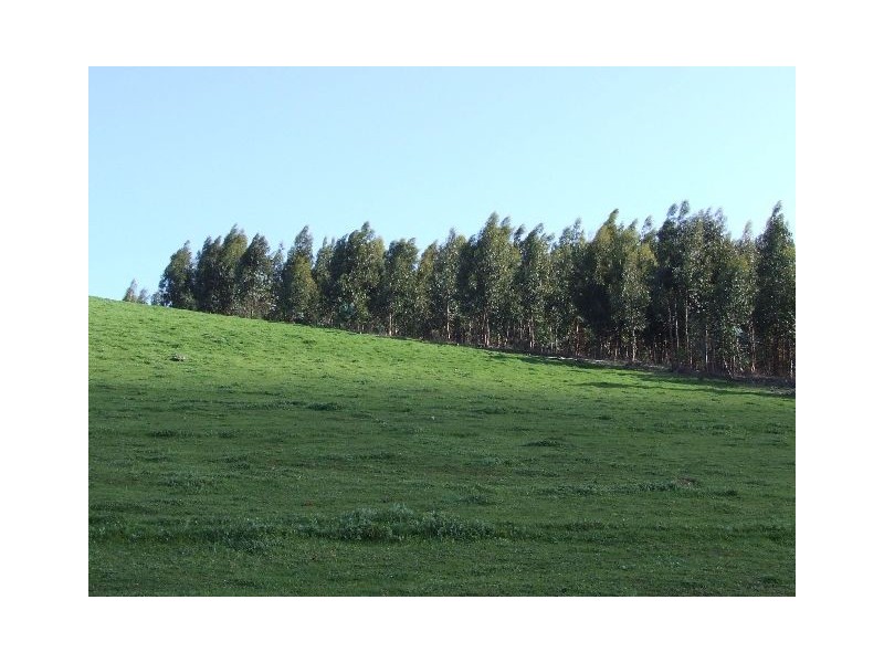 Lot 56,  King Spring Road, Donnybrook WA 6239