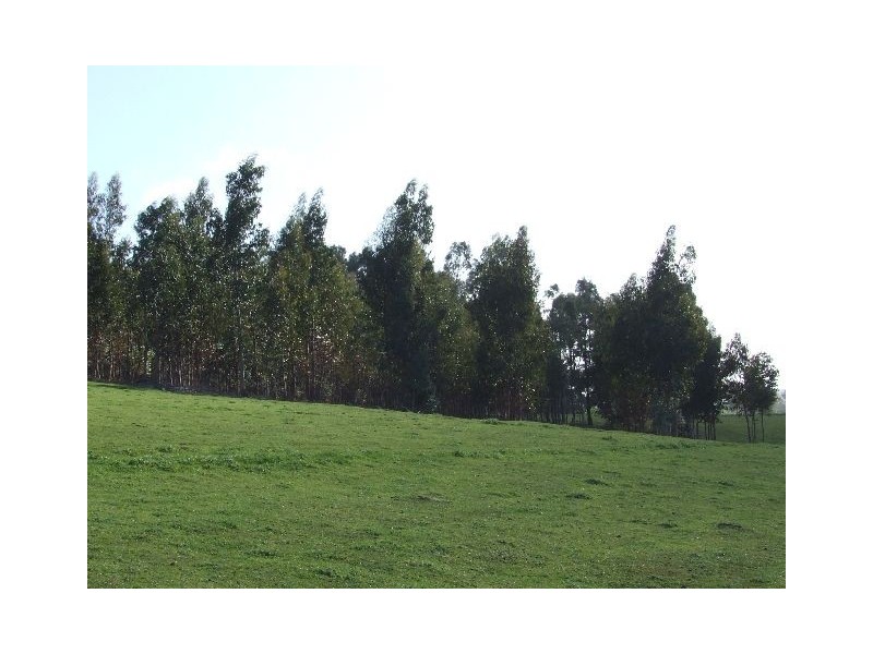 Lot 56,  King Spring Road, Donnybrook WA 6239